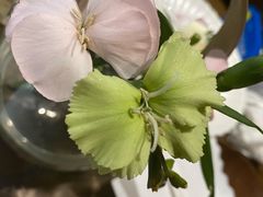 -黑草莓(重庆路店)