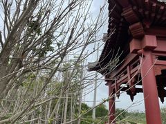 -商丘古城-应天书院