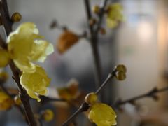 -煮雨小筑(斜塘老街店)