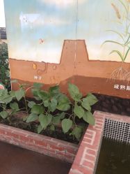 -梦田都市农场(银泰城店)