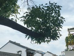 -仓桥直街