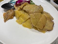 白斩鸡-鑫鑫大酒店(共和新路店)