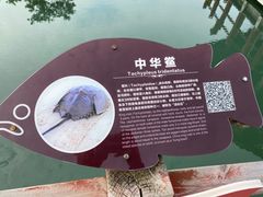 -北海金海湾红树林生态旅游区