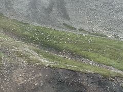 -祁连山·岗什卡雪峰景区