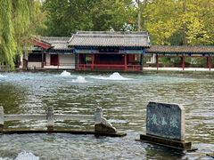 -百脉泉景区
