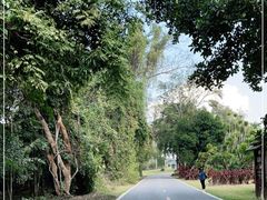 -中国科学院西双版纳热带植物园