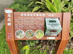 -广州珠江公园