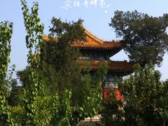 -北京西山国家森林公园