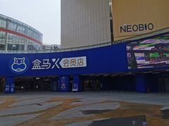 -盒马X会员店(王府井奥莱UP TOWN店)