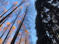 -山王坪喀斯特国家生态公园