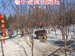 -横道河子东北虎林园
