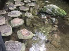 -牛背梁国家森林公园