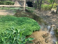 -白水寺森林公园