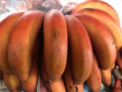 -金盆阿嬷香菇茶叶蛋(玄光店)