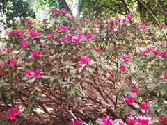 -天龙八部武侠城