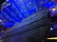 -华夏文旅海洋公园