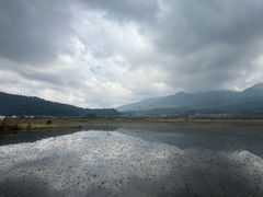 -腾冲北海湿地