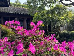 -惠山古镇·寄畅园