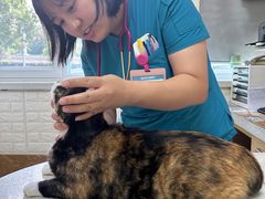 -美联众合动物医院·24h京西诊疗中心