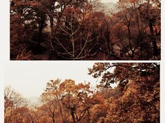 -终南山南五台景区