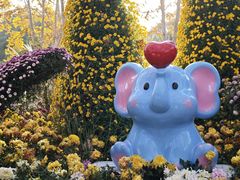 -共青国家森林公园-售票处