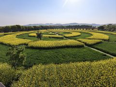 -苏州太湖西山岛开心农场