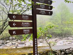 -青峰峡国家森林公园