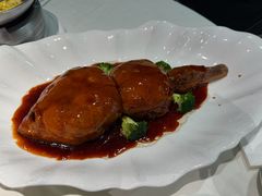 -丁老爷子苏香圆