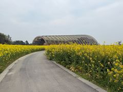 -中国天府农业博览园