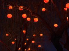 -环城公园