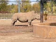 -鄂尔多斯野生动物园