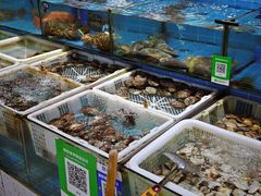 -先锋海鲜市场