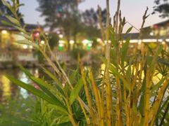 -大门水乡·顺德菜