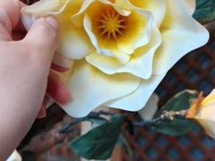 -湘邻呷铺·田园家宴(汉基广场店)