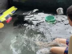 -广东温泉宾馆
