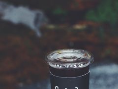 巴拿马唐佩佩冰滴-Seesaw Coffee(朝阳大悦城店)