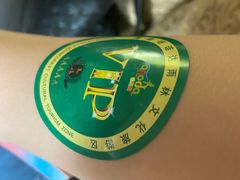 -呀诺达热带雨林