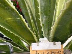 -鹈鹕素食餐厅自助餐部(正阳街店)