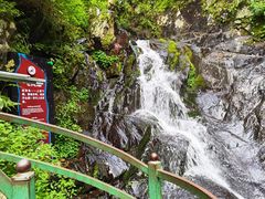 -凤凰山国家森林公园