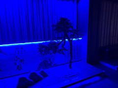 -汤W城市微度假(仓山店)