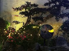 -黎阳老街