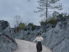 -千岛湖石林