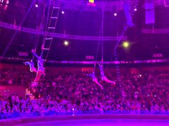 -俄罗斯国家大马戏团