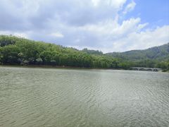 -番禺大夫山森林公园