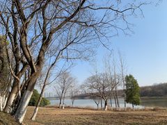 -盘龙城国家考古遗址公园