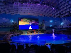 -海合安武汉极地海洋公园