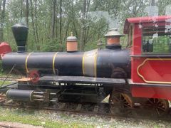 -合肥滨湖国家森林公园