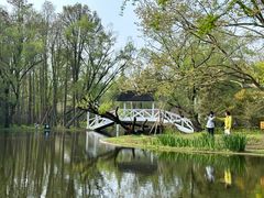 -上海共青森林公园