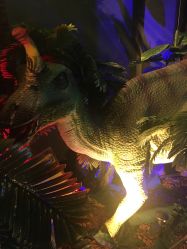 -恐龙探索乐园(磁器口店)