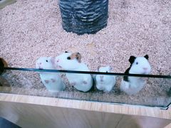 -昆明大悦城未来动物城(螺蛳湾中心店)